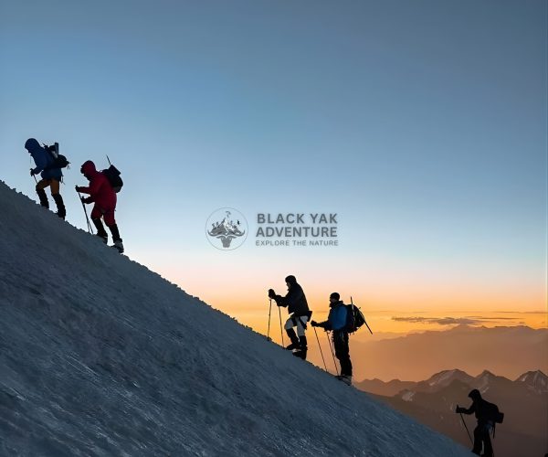 K2 Gondogoro La Trek