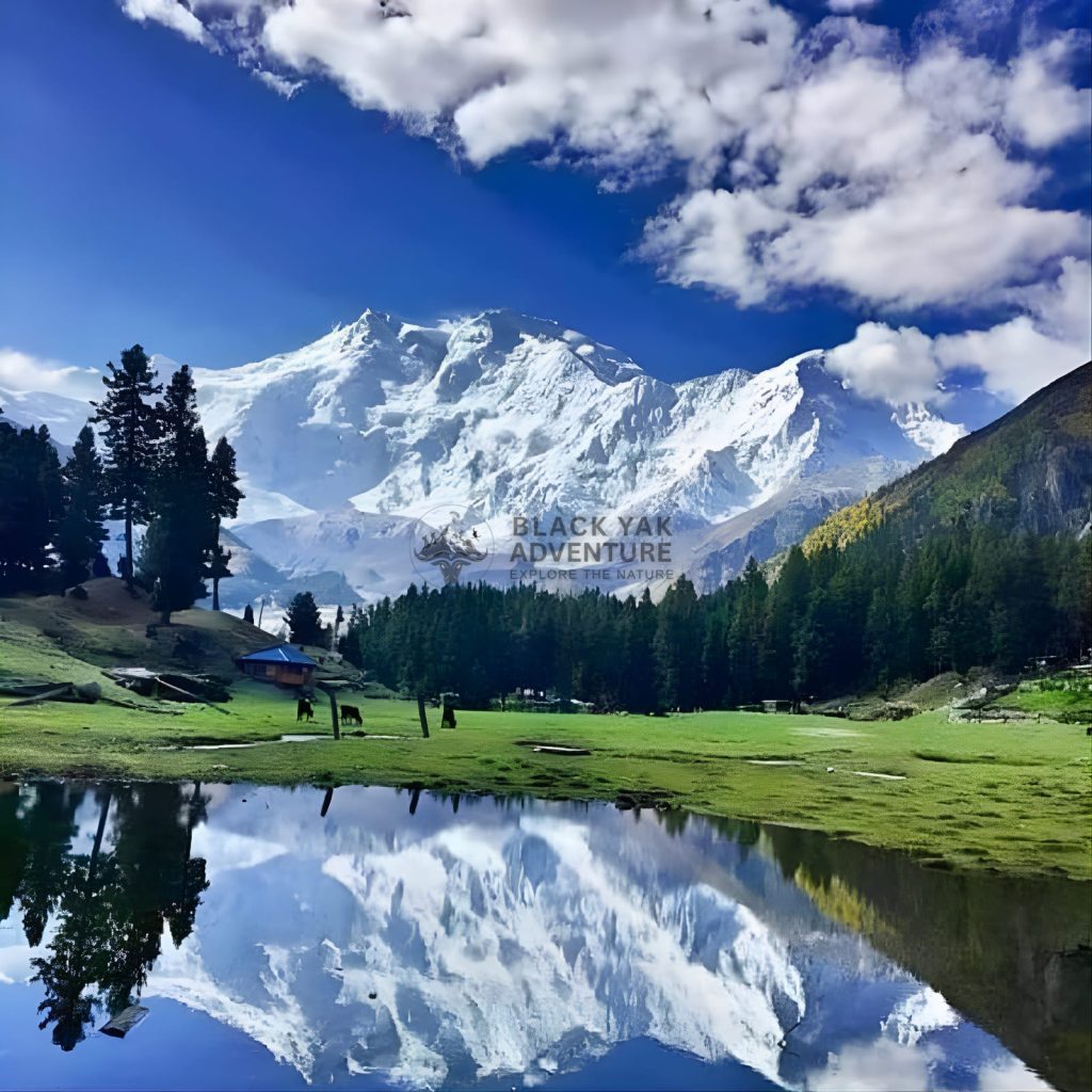 Nanga Parbat