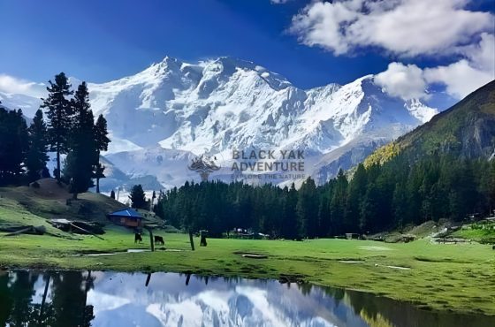 Nanga Parbat Base Camp Trek