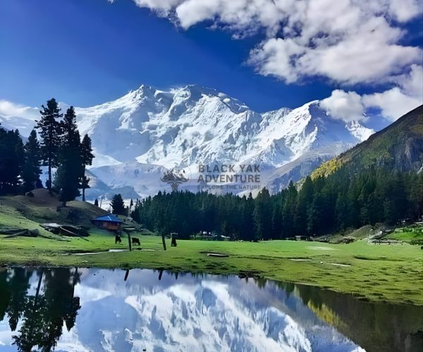 Nanga Parbat Base Camp Trek