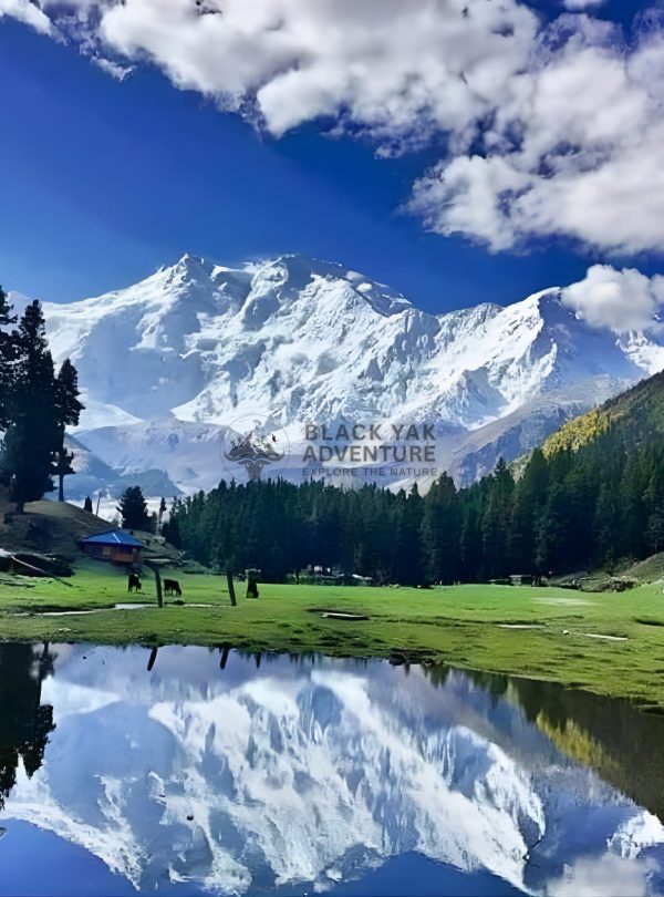 Nanga Parbat