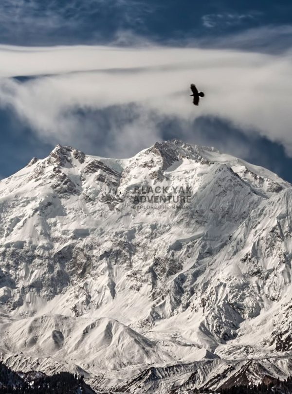 Nanga Parbat