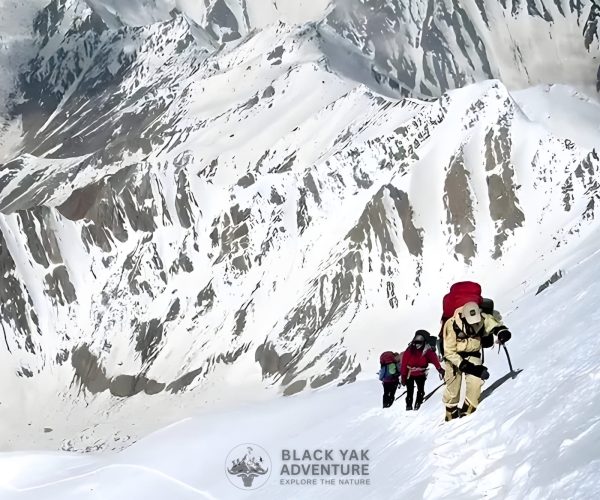 Nanga Parbat Expedition
