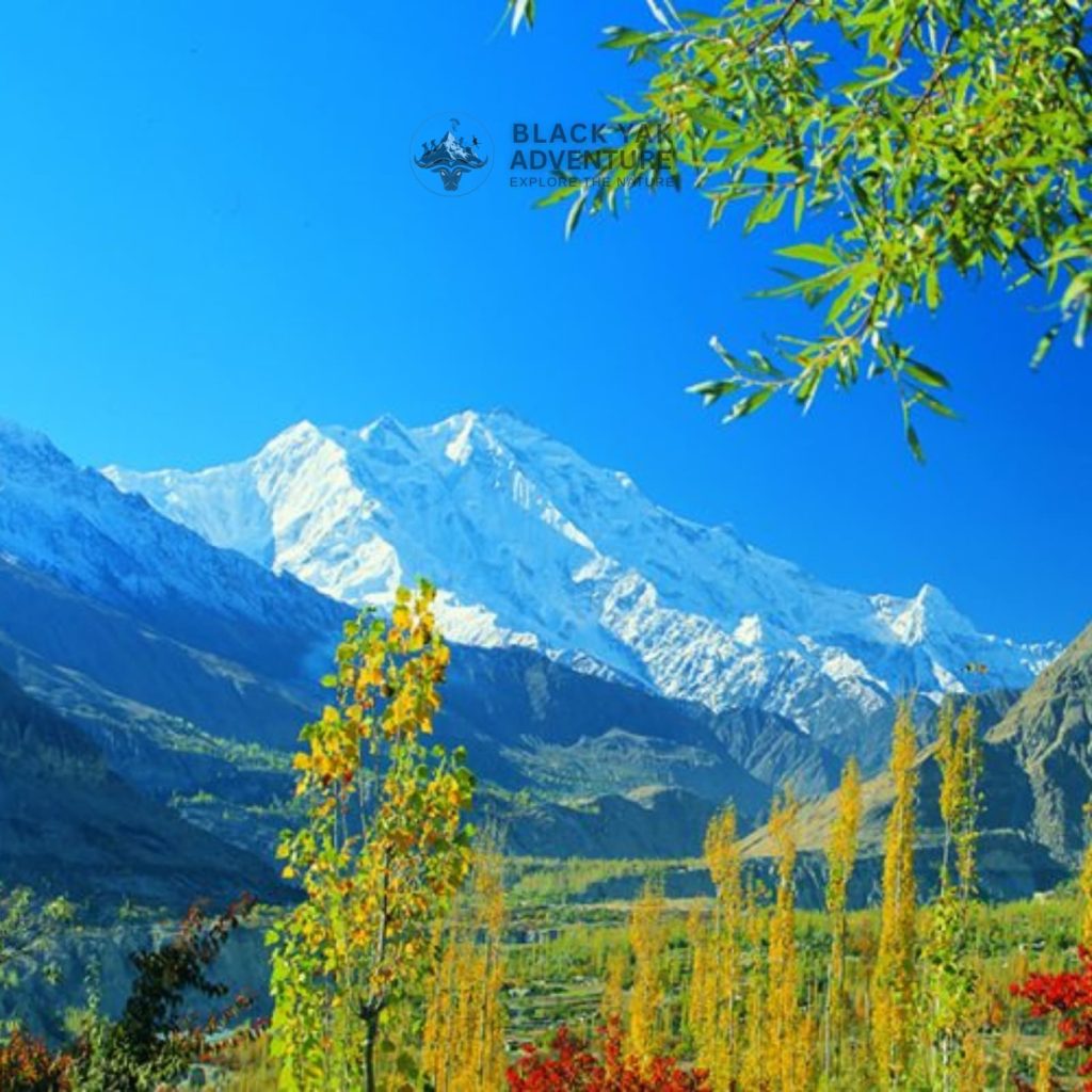 Rakaposhi Base Camp
