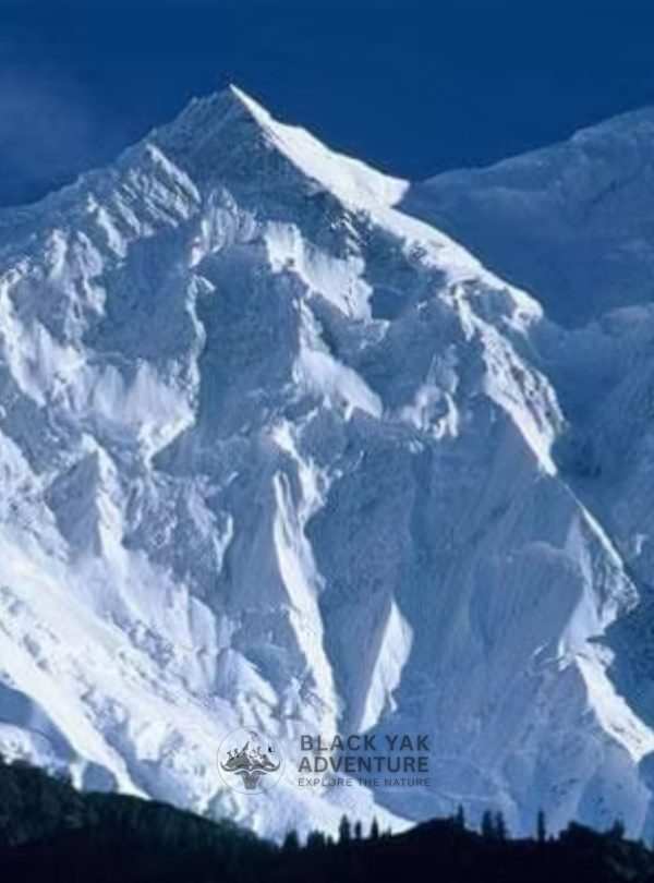 Rakaposhi Base Camp