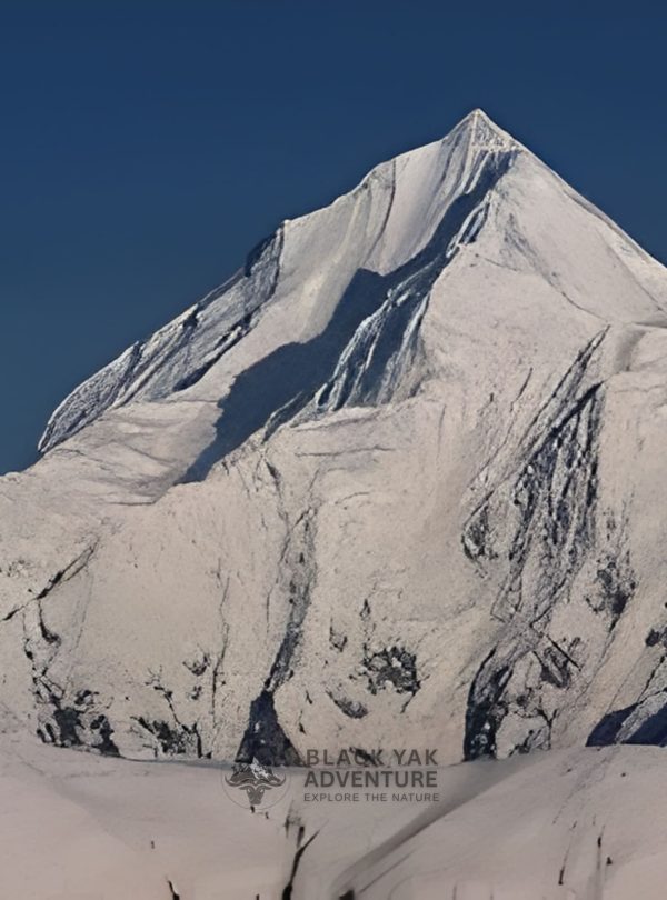 Rakaposhi Base Camp