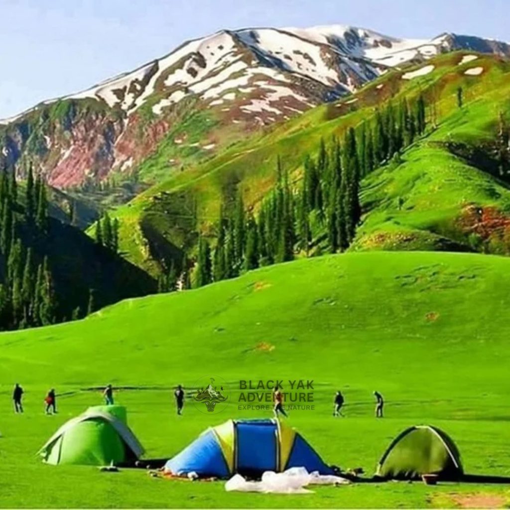 Naran Kaghan