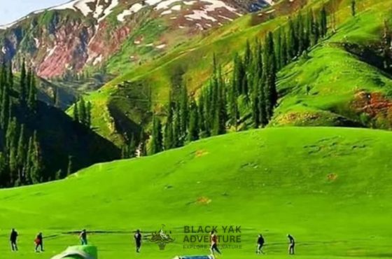 Naran Kaghan Tour