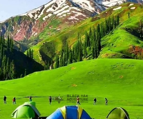 Naran Kaghan Tour