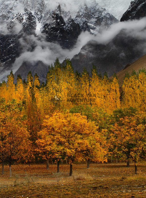 Hunza Valley