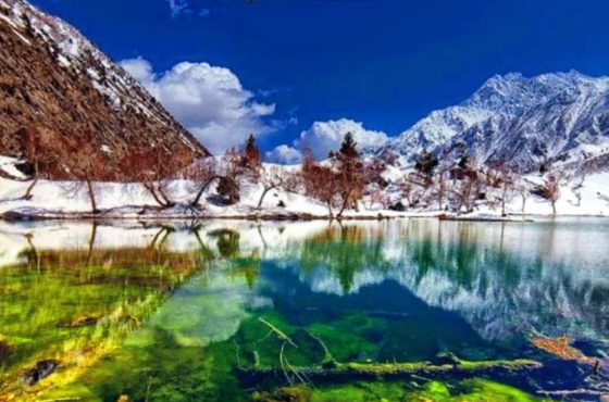 Hunza & Naltar Tour