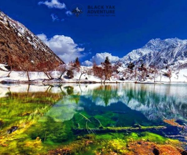 Hunza & Naltar Tour