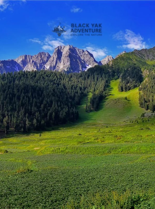 Hunza Valley