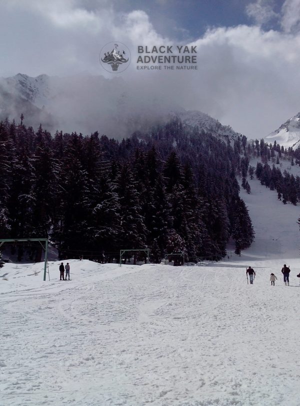 Naltar Valley