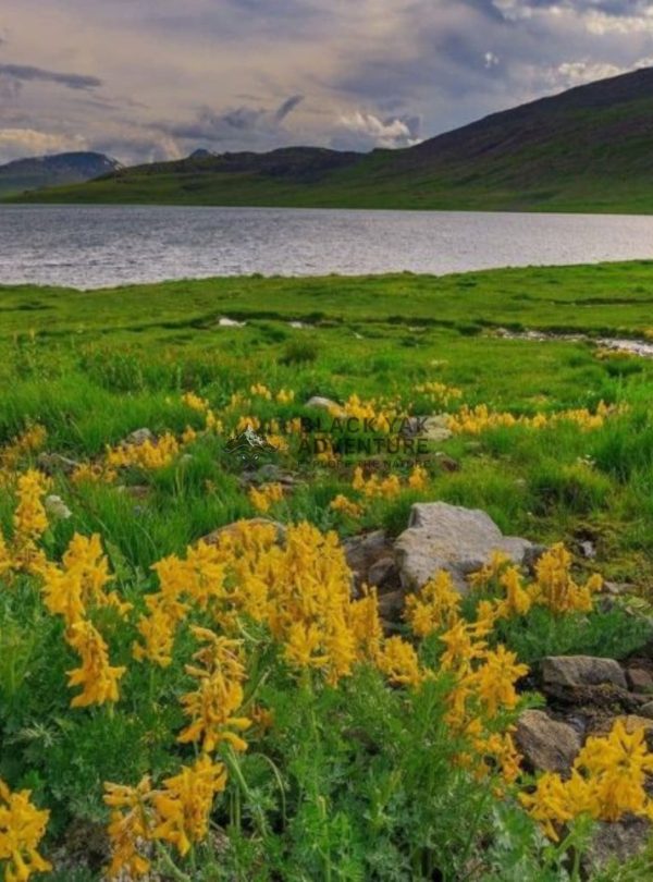 Deosai National Park