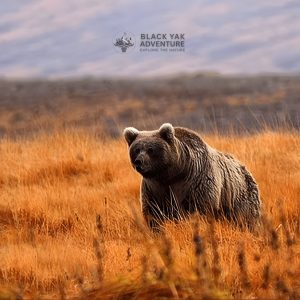 Deosai National Park