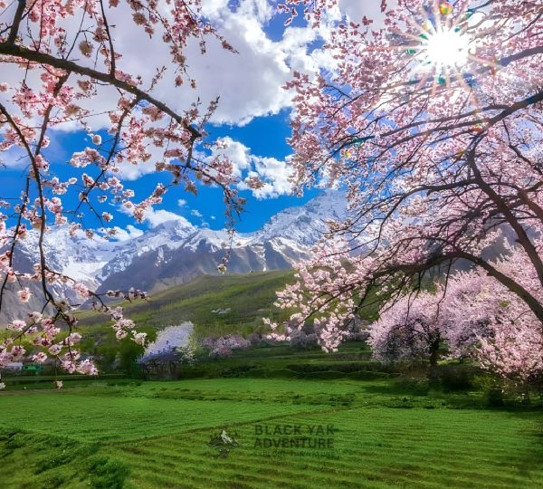 All Skardu Tour