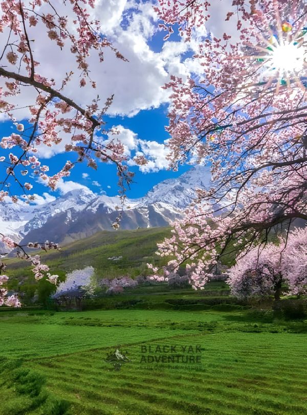Shigar Valley