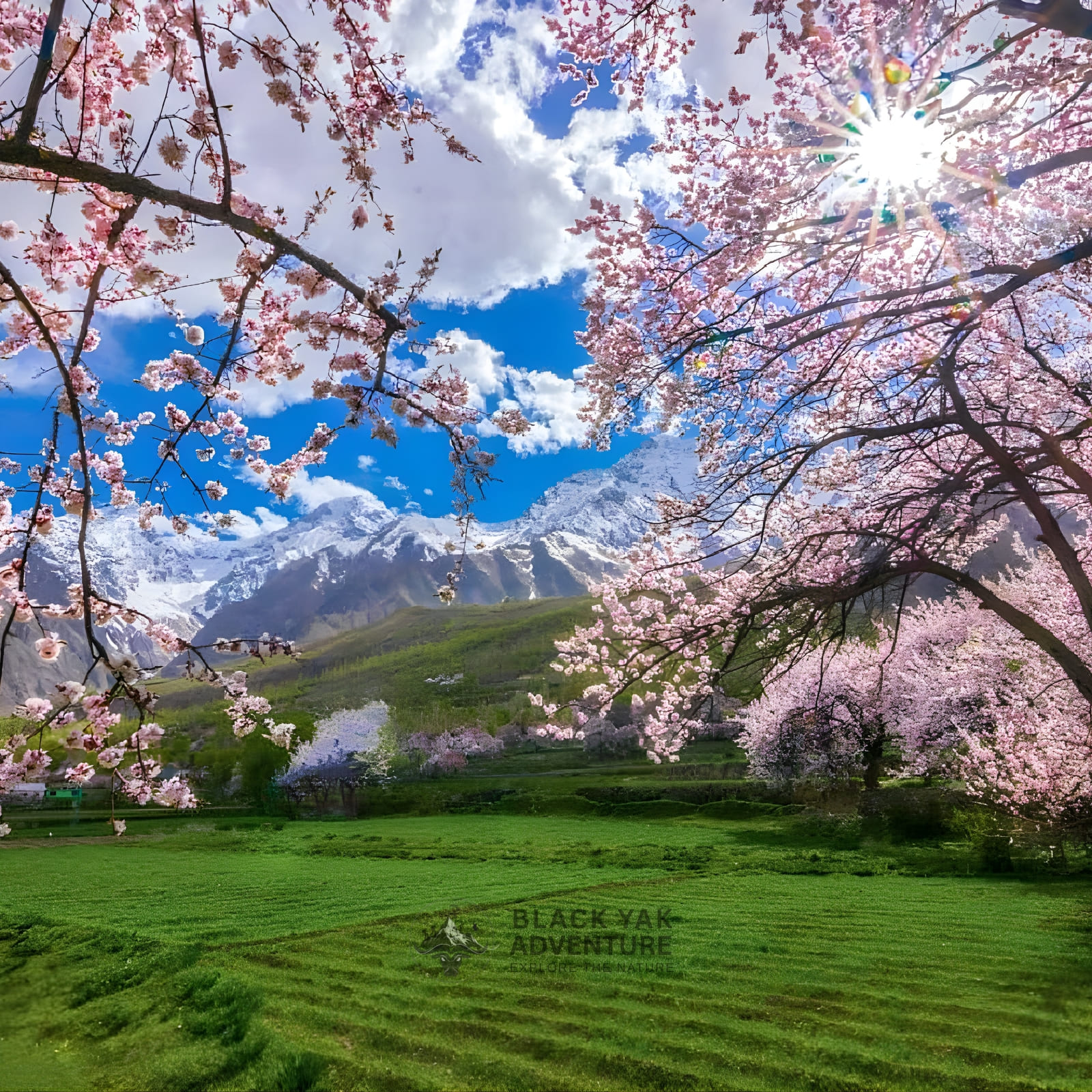 Shigar Valley